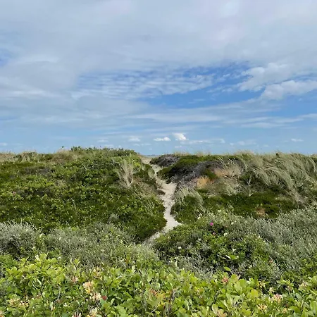 Wattteufel * Rantum (Sylt)