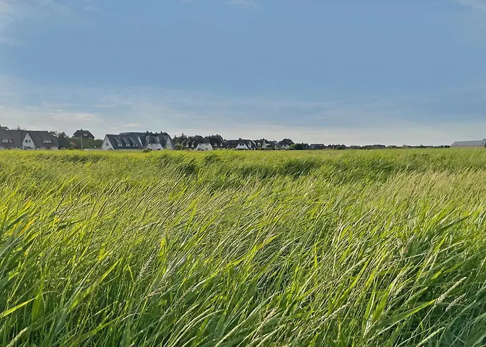 Wattteufel * Sylt